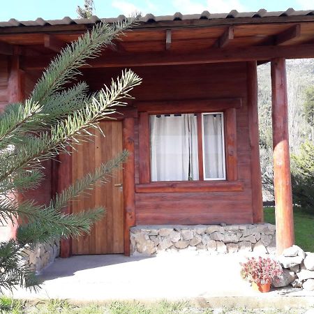 El Jarillal Chalet De Montana A Pasos Del Lago لاغو بويلو المظهر الخارجي الصورة