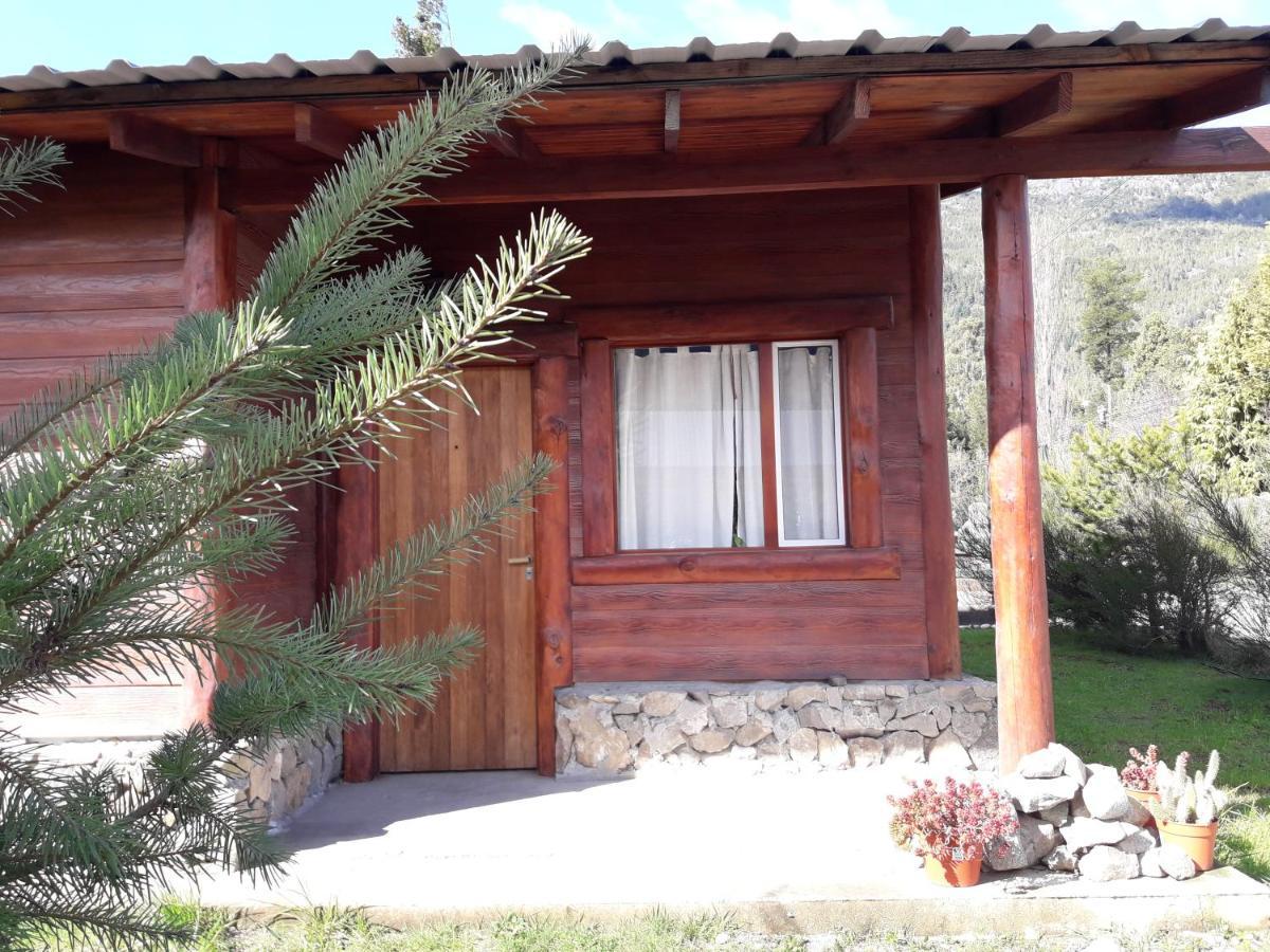 El Jarillal Chalet De Montana A Pasos Del Lago لاغو بويلو المظهر الخارجي الصورة